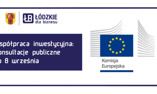 Konsultacje publiczne – kształtowanie polityki unijnej w zakresie współpracy inwestycyjnej uwzględniającej w maksymalnym stopniu polskie interesy