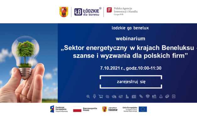 Webinarium „Sektor energetyczny w krajach Beneluksu – szanse i wyzwania dla polskich firm”