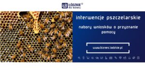 Grafika Łódzkie dla biznesu - interwencje pszczelarskie