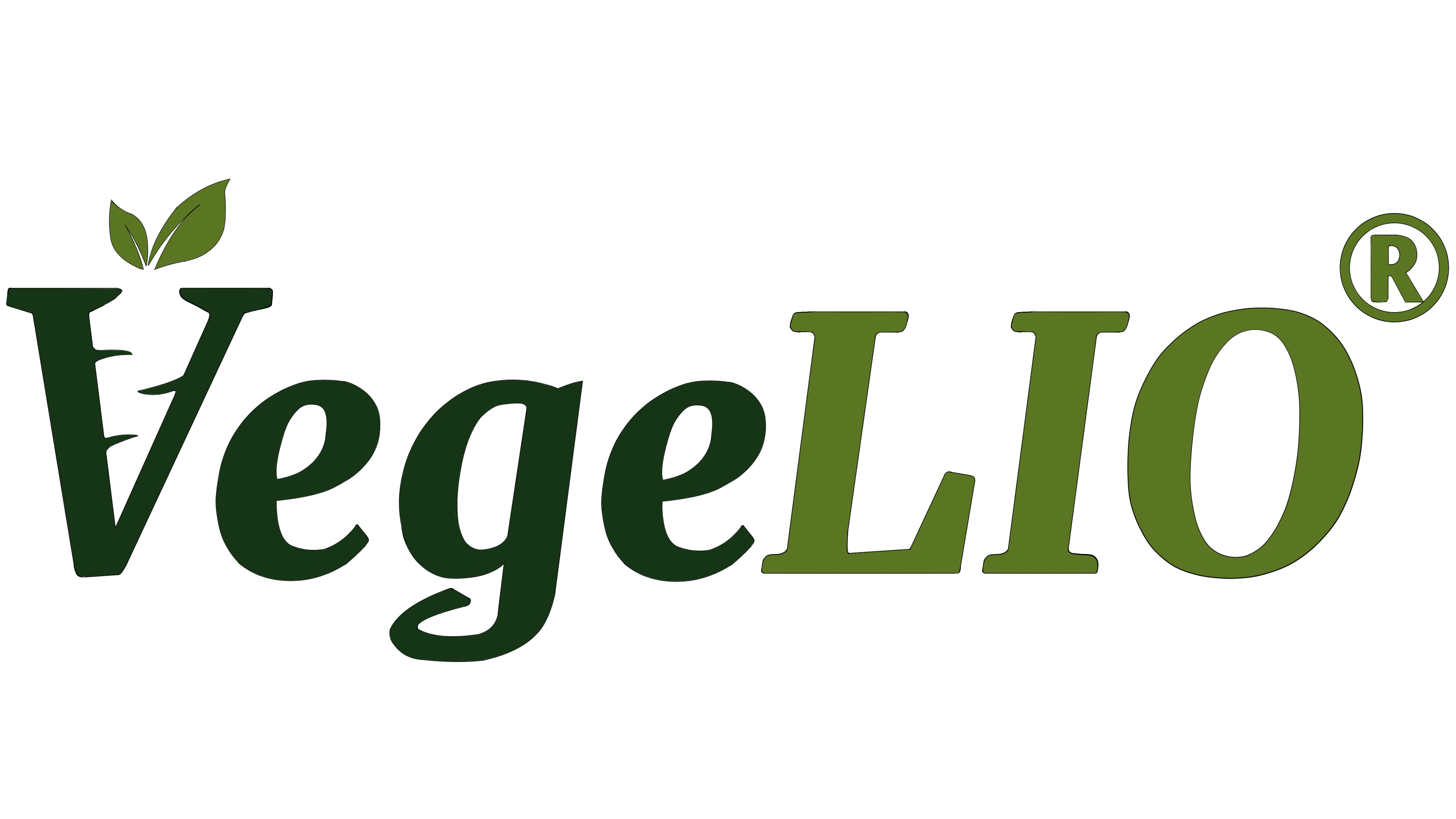 Logo_Vegelio