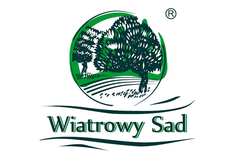 wsad
